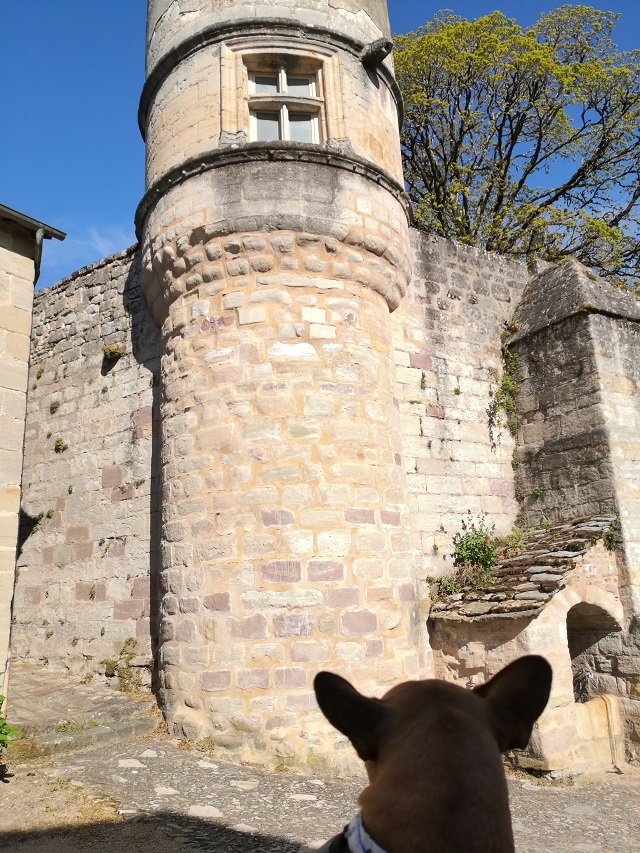 vacances avec chien en corrèze