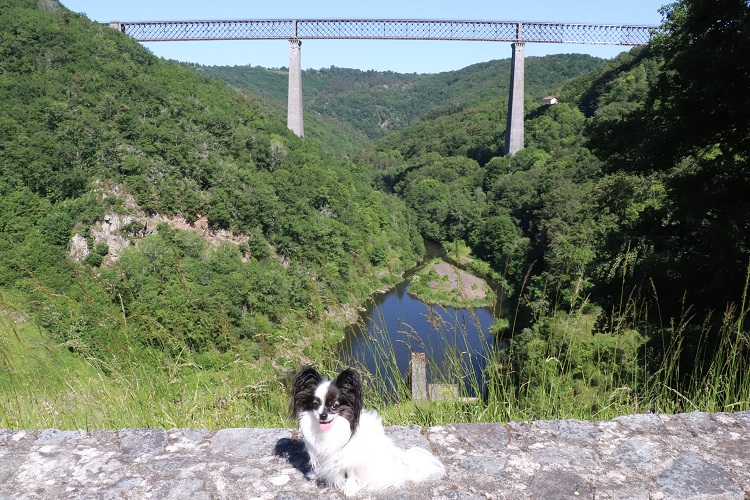 viaduc des fades avec chien