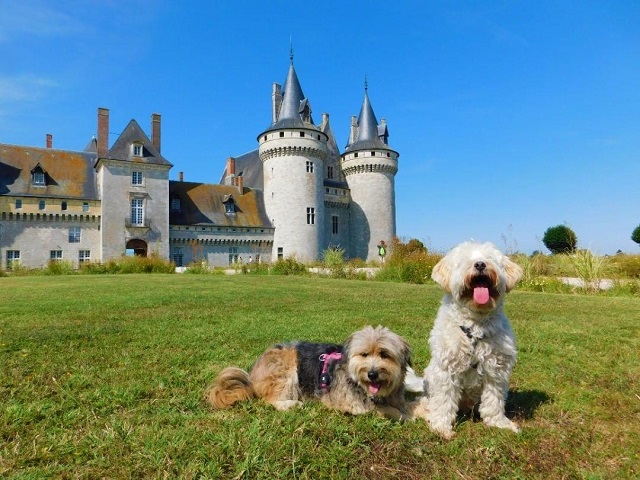 Château de Sully-sur-Loire