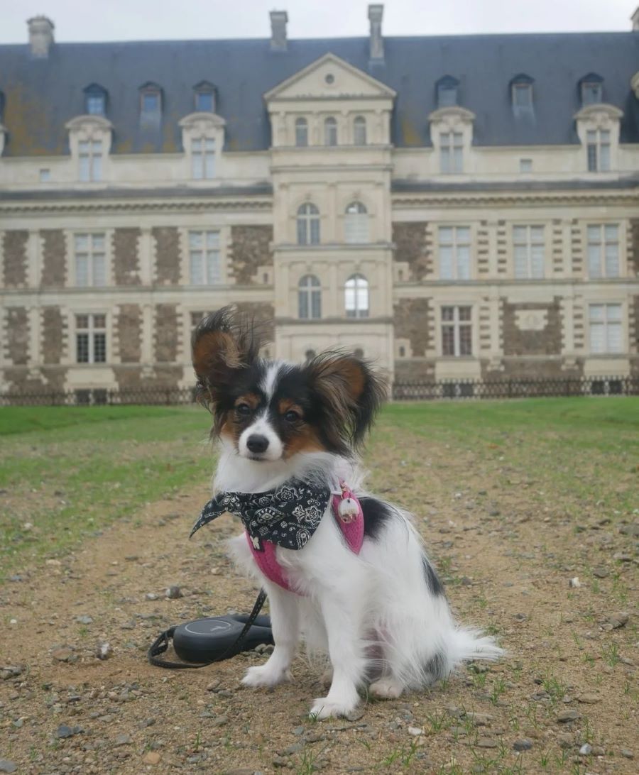 Château de Serrant