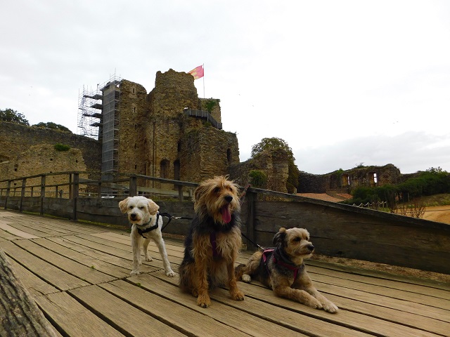visite château de talmont avec chien