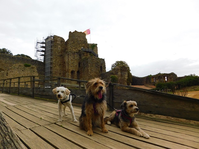 visite château de talmont la vendée avec chien