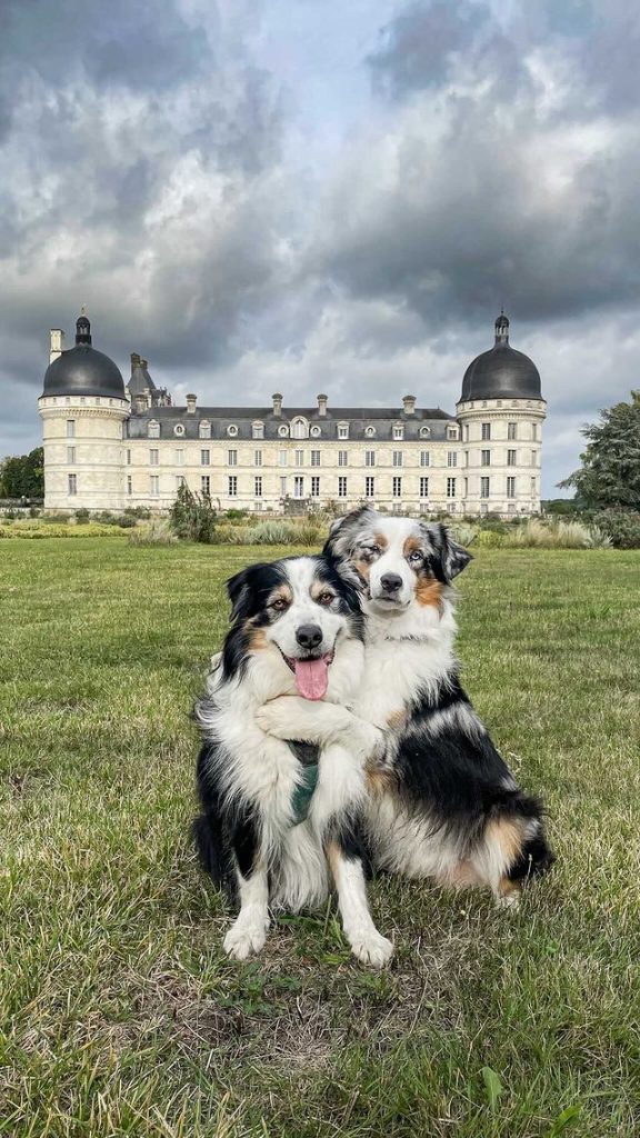 visite château de valençay avec chien