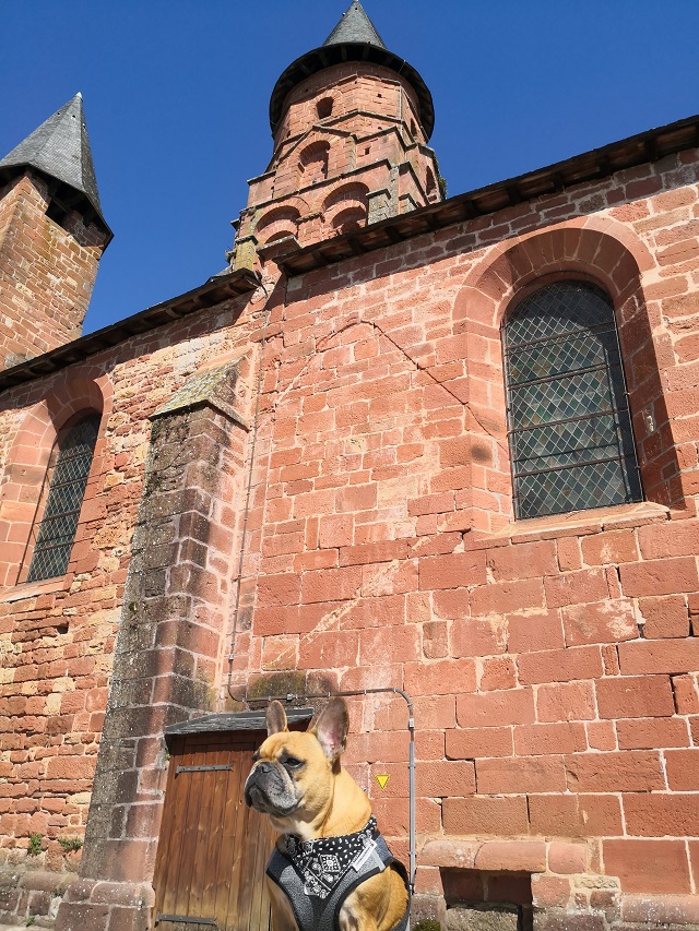 visite collonges-la-rouge avec chien