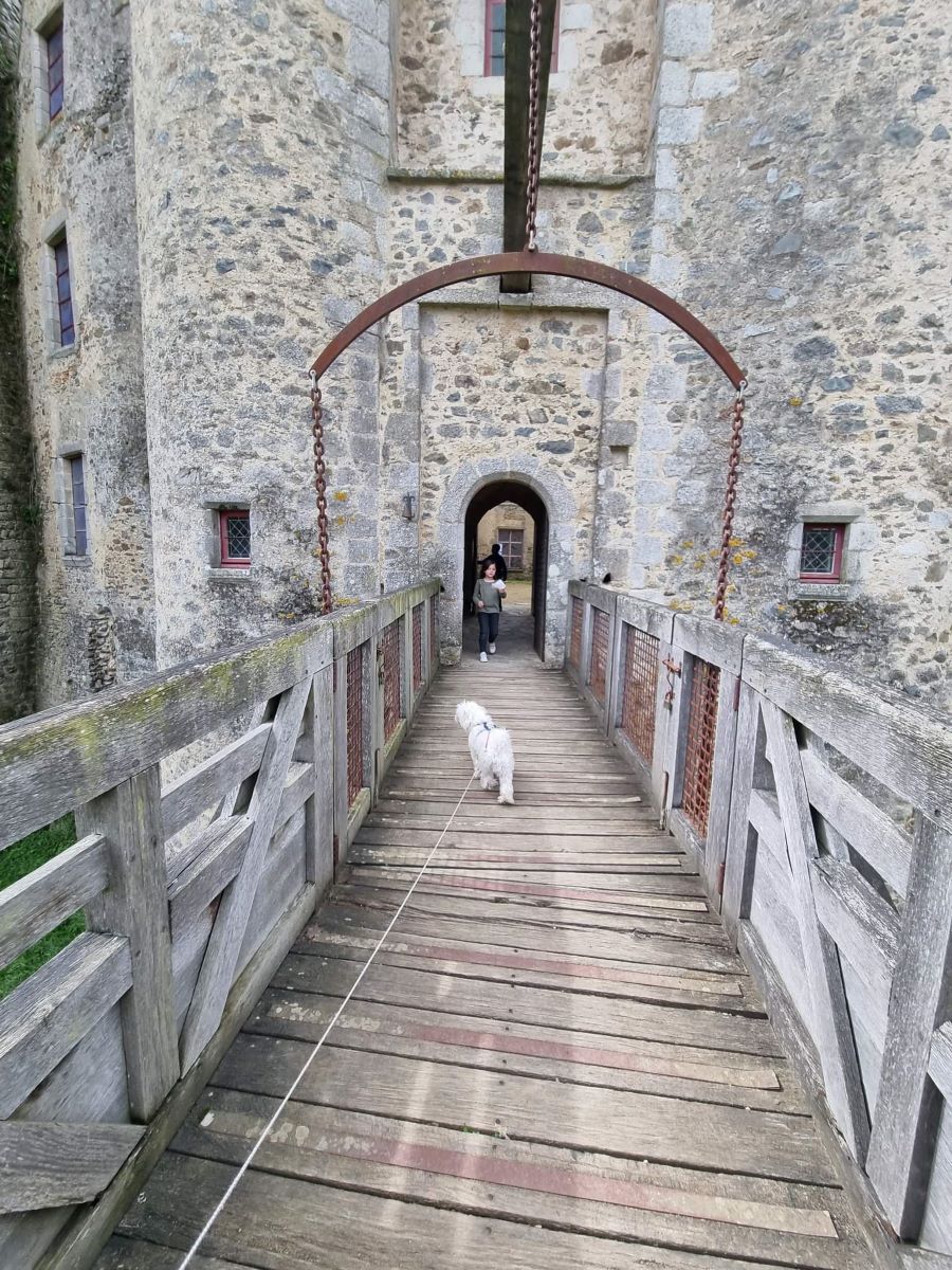 Château de Saint Mesmin