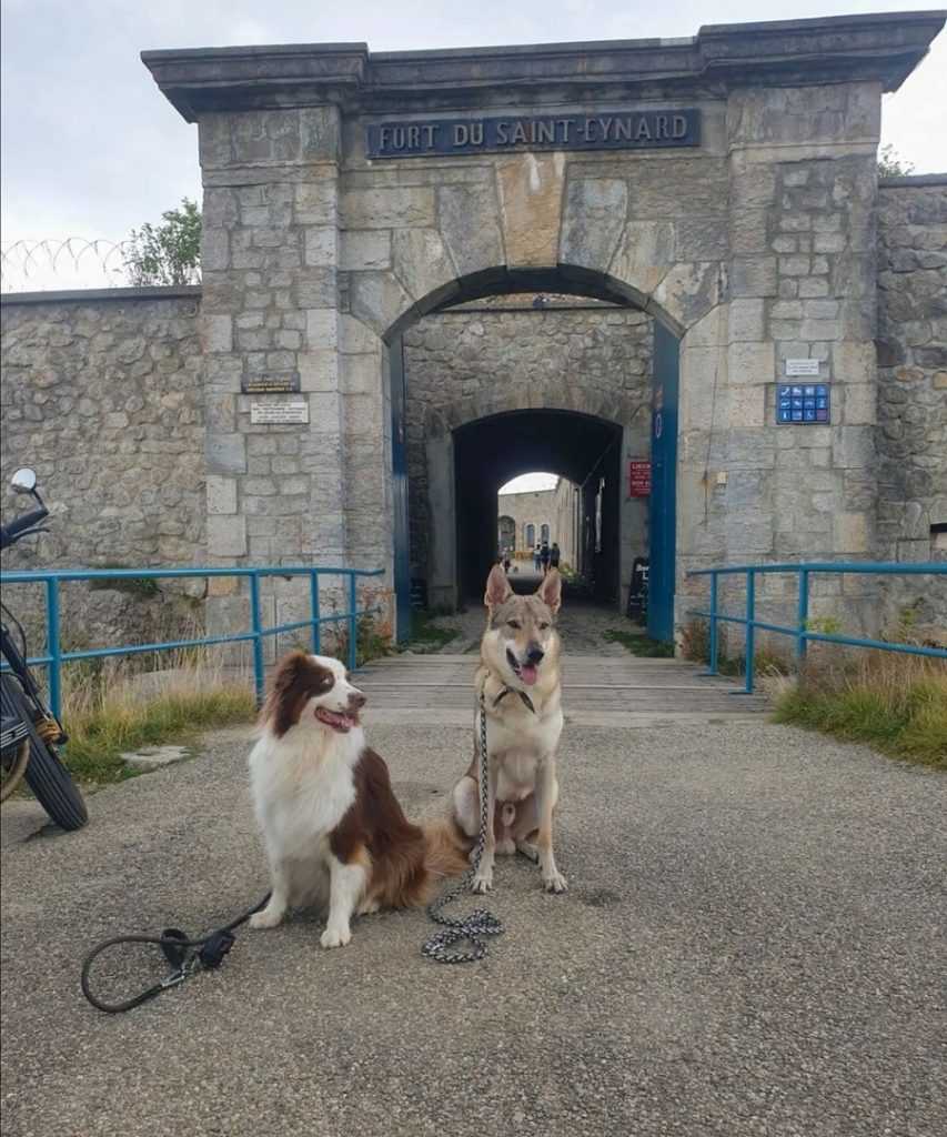 visite du fort saint-eynard avec chien