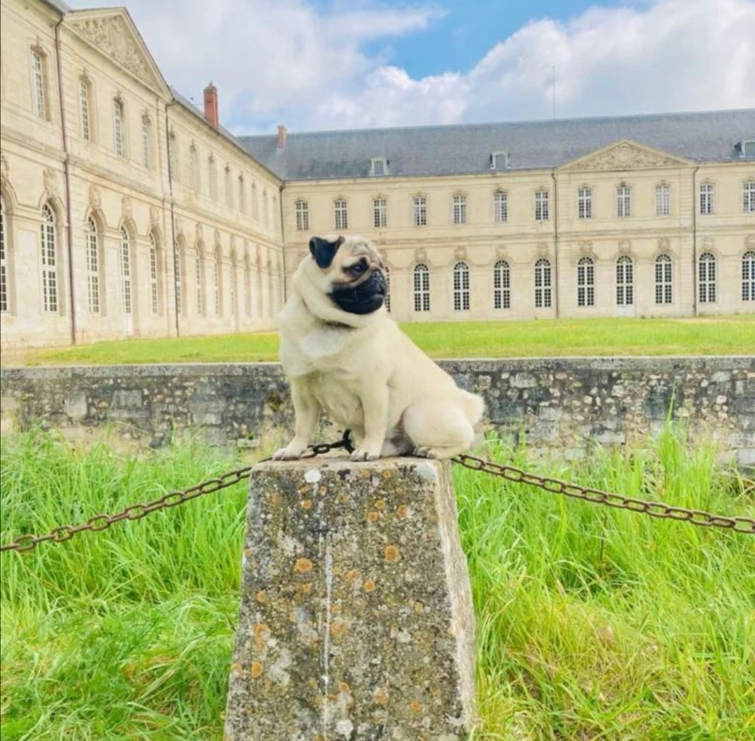 Abbaye du Bec-Hellouin