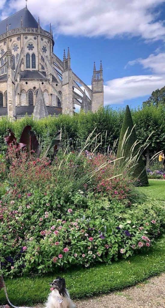 visiter bourges avec un chien