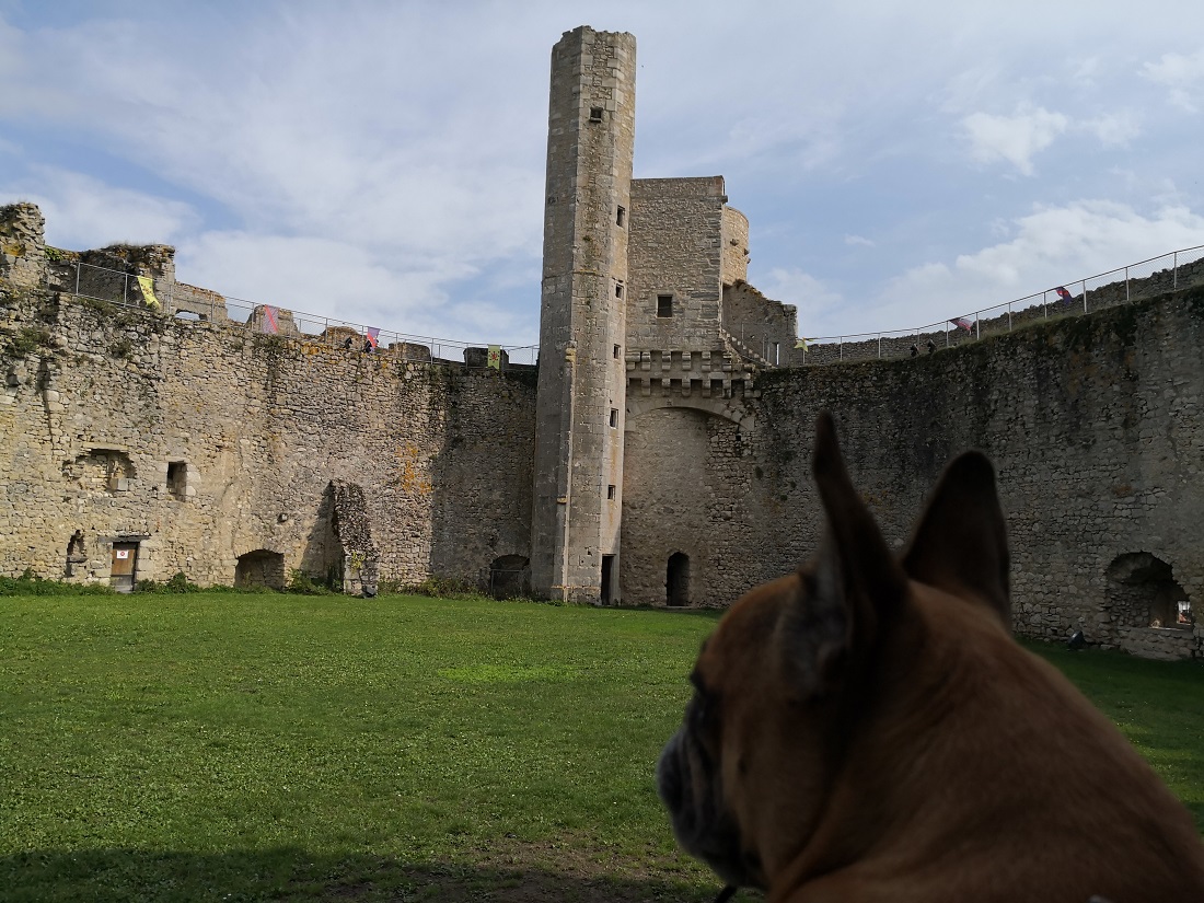 Château de Billy