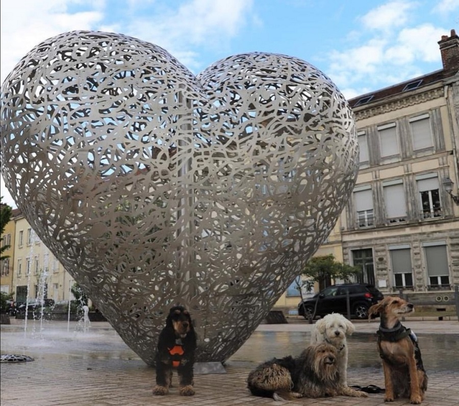 visiter troyes avec un chien