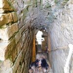 visiter un château avec un chien en vendée