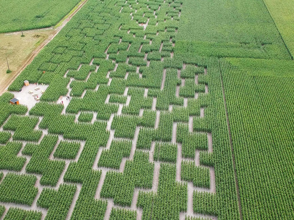 Pop Corn Labyrinthe Tours