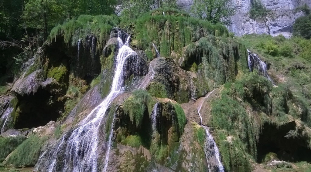 LE JURA AVEC SON CHIEN