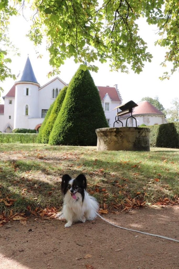 Parc Saint-Jean chien autorisé montluçon