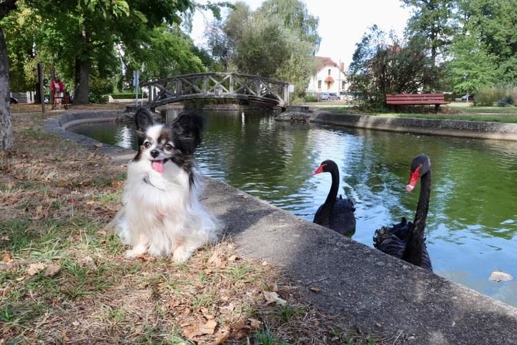 Parc Saint-Jean