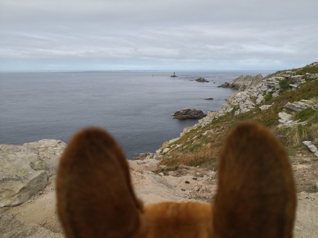 LA POINTE DU RAZ AVEC SON CHIEN