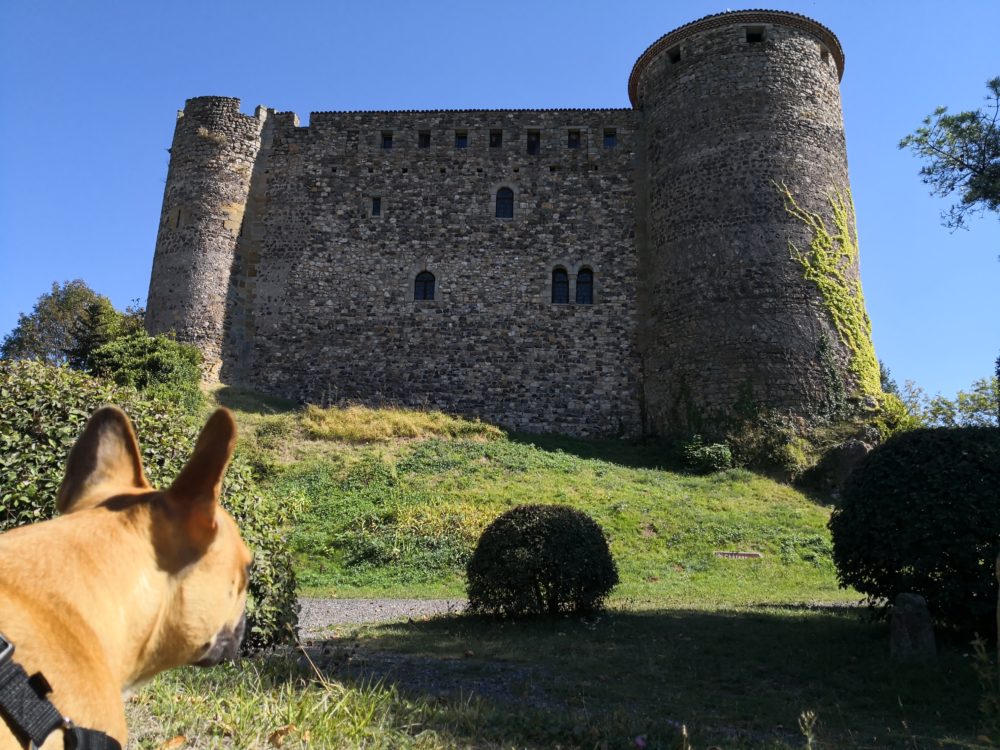 LES JOURNEES DU PATRIMOINE AVEC SON CHIEN