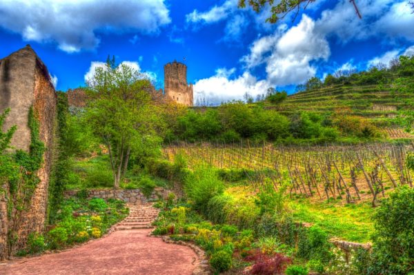 Château de Kaysersberg