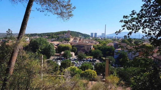 UN PEU DE PROVENCE AVEC SON CHIEN