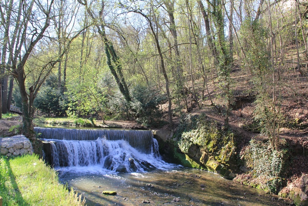 séjour en provence avec chien