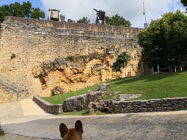 chien visite château de castelnaud