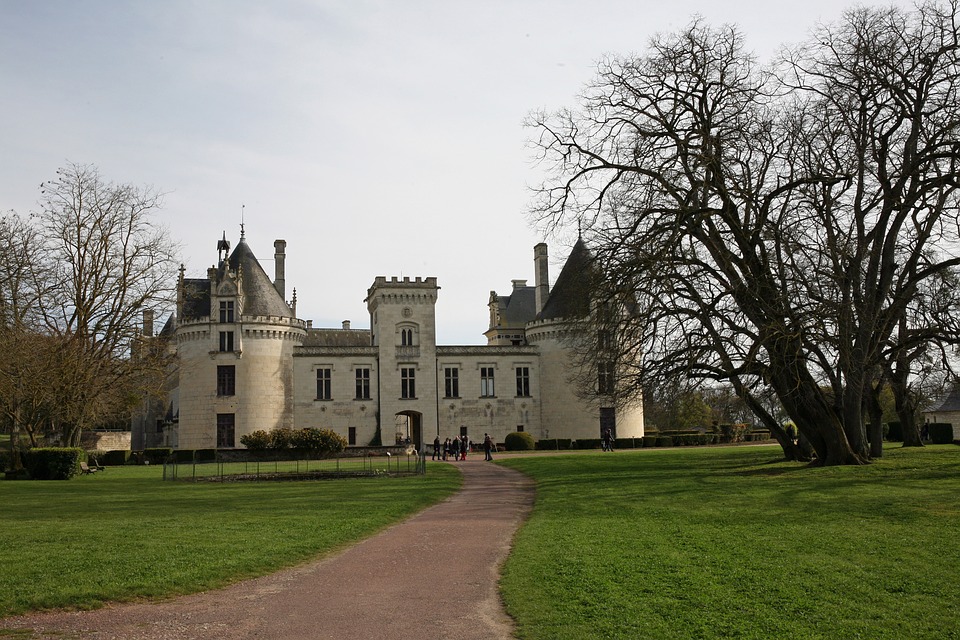 château de brézé visite avec chien