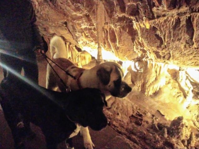 Grotte des Moidons