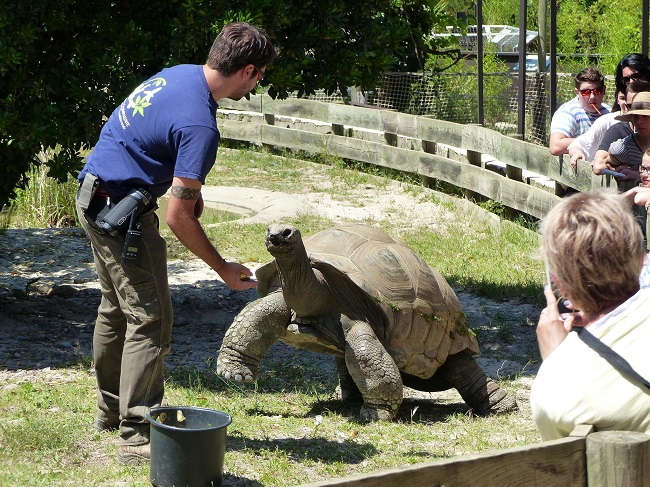 La Vallée des Tortues