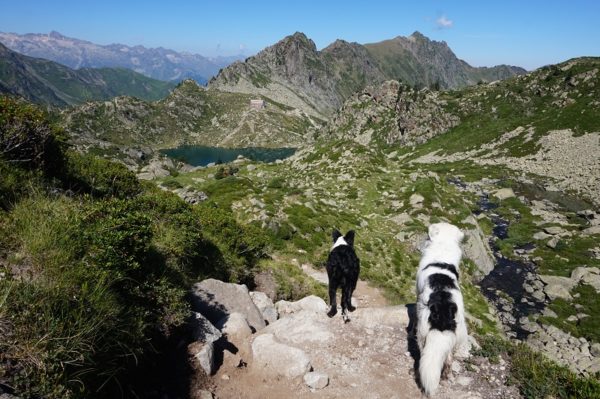 Découvrir Luz-Saint-Sauveur avec son chien