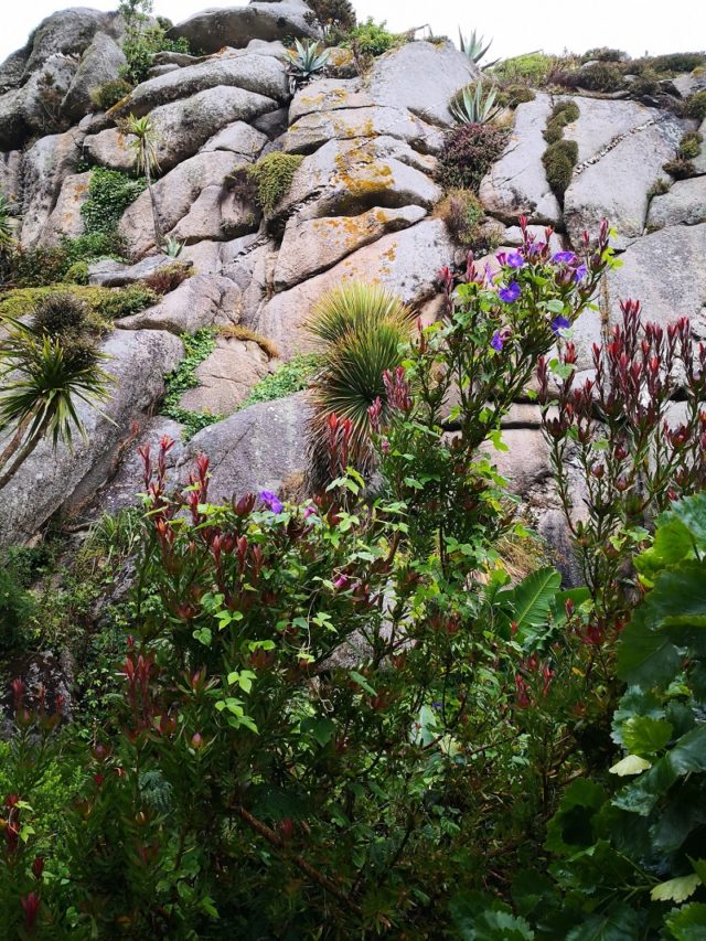 Jardin botanique de Roscoff