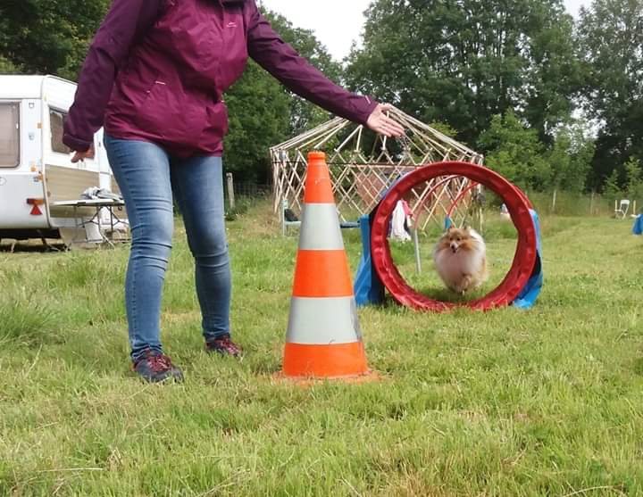 Base de loisirs canine