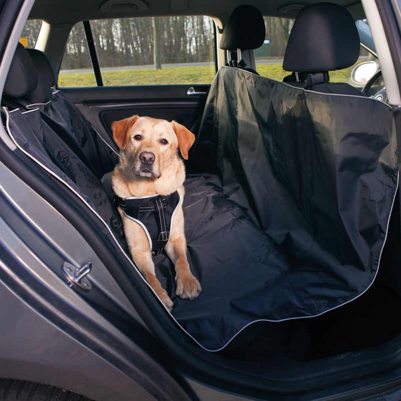 Voyager avec son Chien en Toute Sécurité : Dispositifs et Tapis de