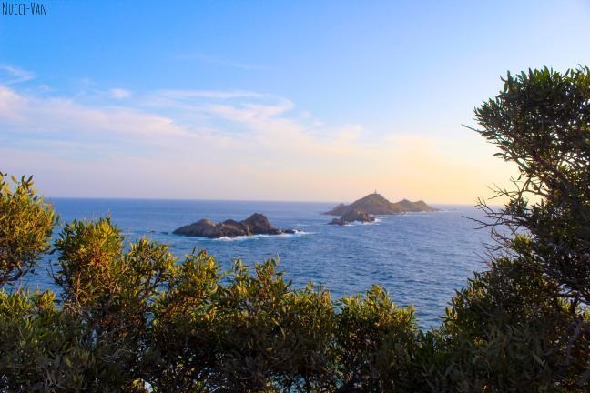 10 idées pour visiter la Corse avec votre chien !