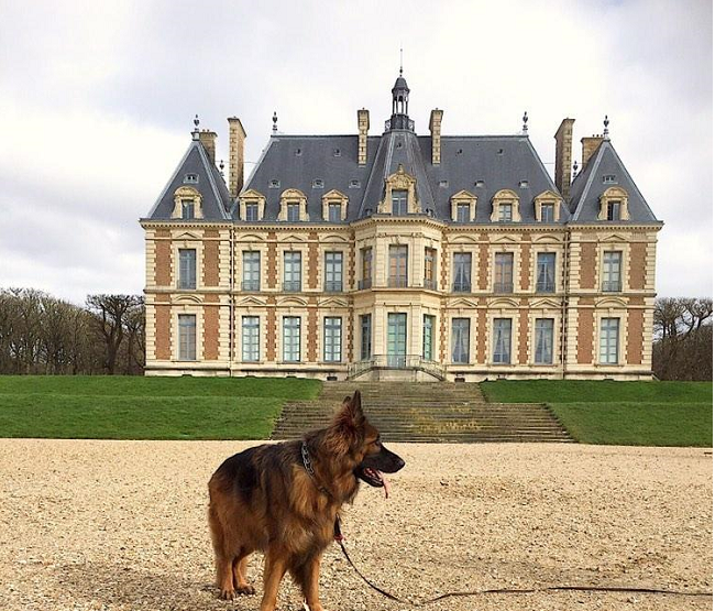 parc château de sceaux avec chien