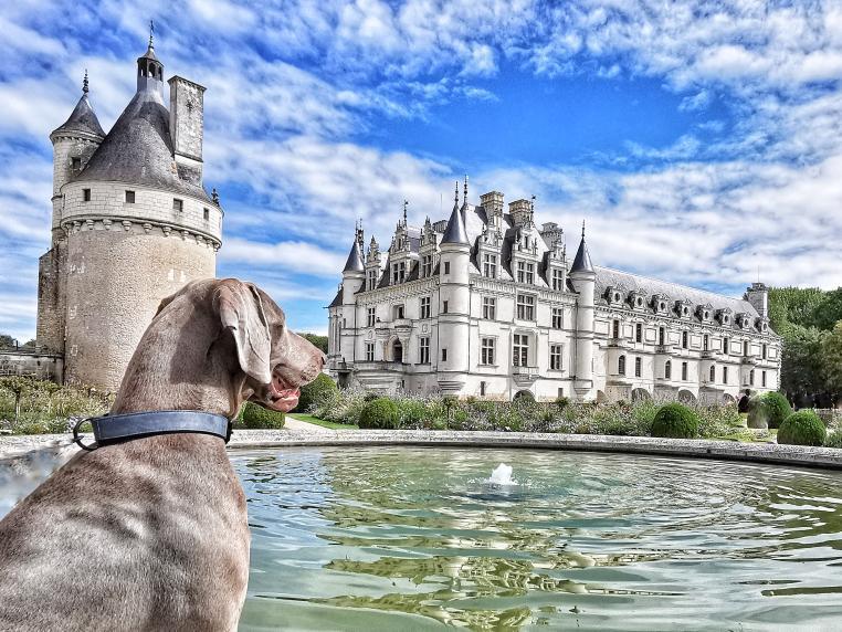 Parc du château de Chenonceau