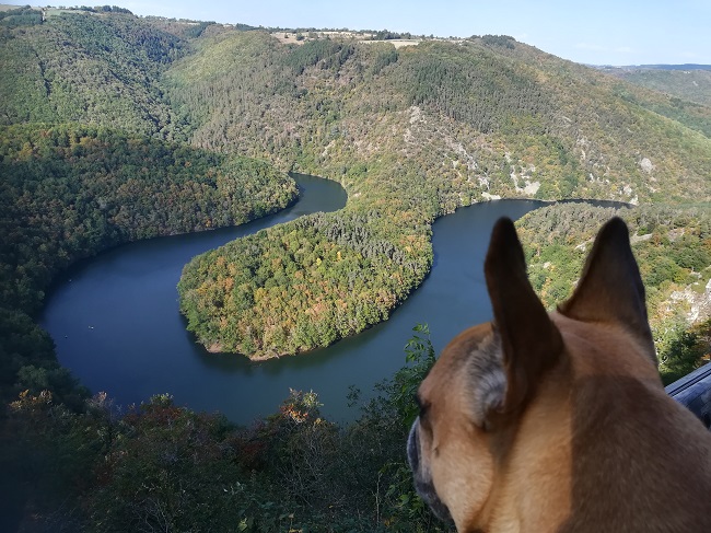 Les Combrailles avec votre chien