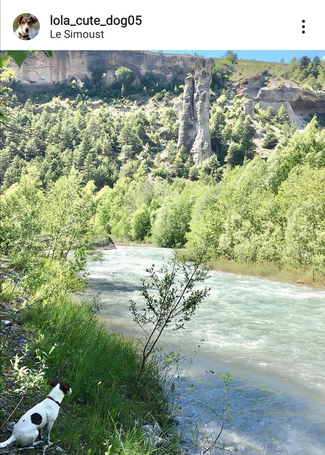 randonnée hautes-alpes avec chien