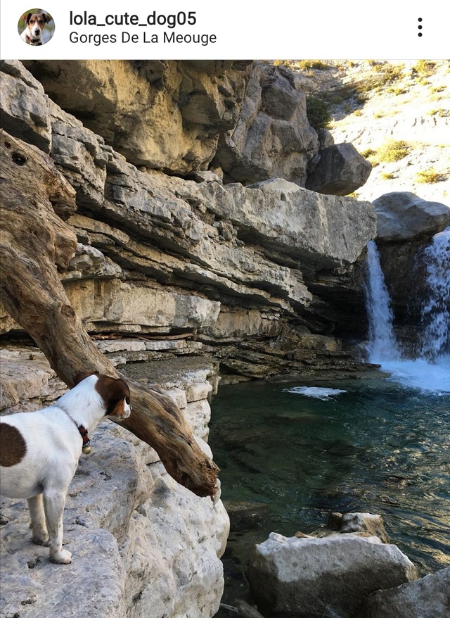 balade gorges de la méouge avec chien