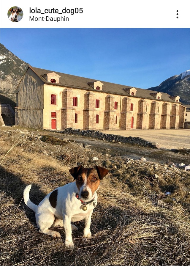 visite mont-dauphin avec chien