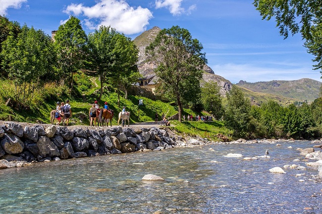 Pyrénévasion