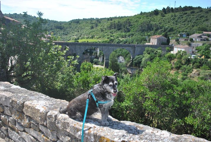 Minerve