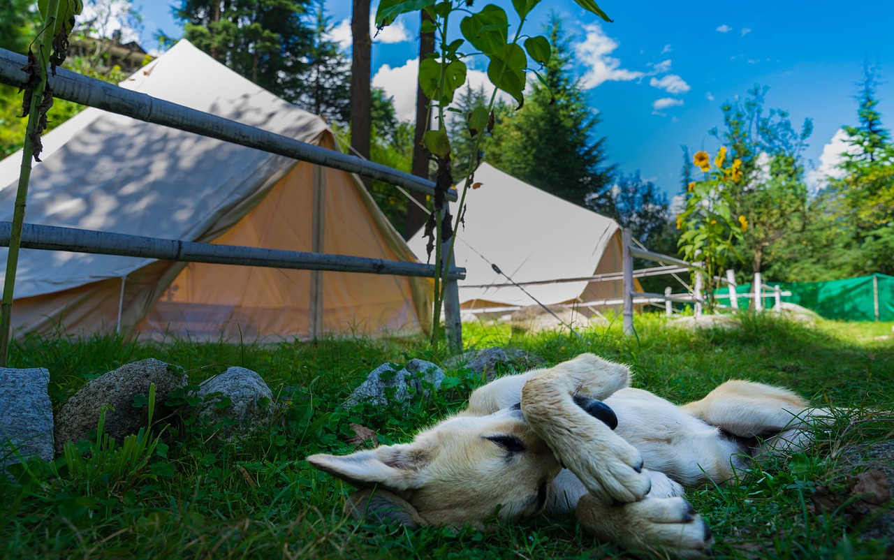 Campings dans le Finistère