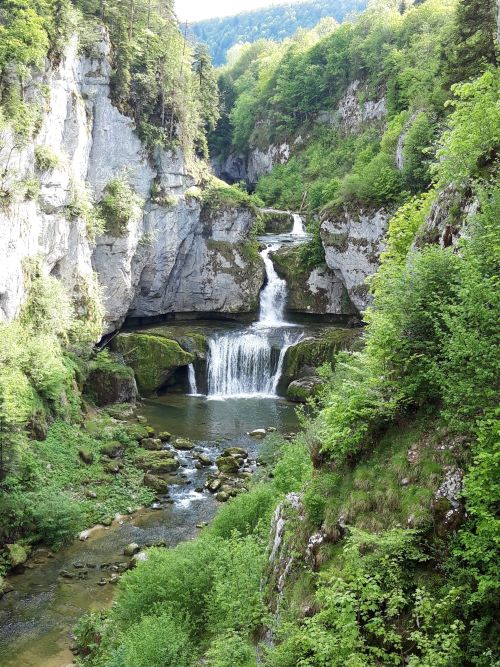 visiter le jura avec son chien