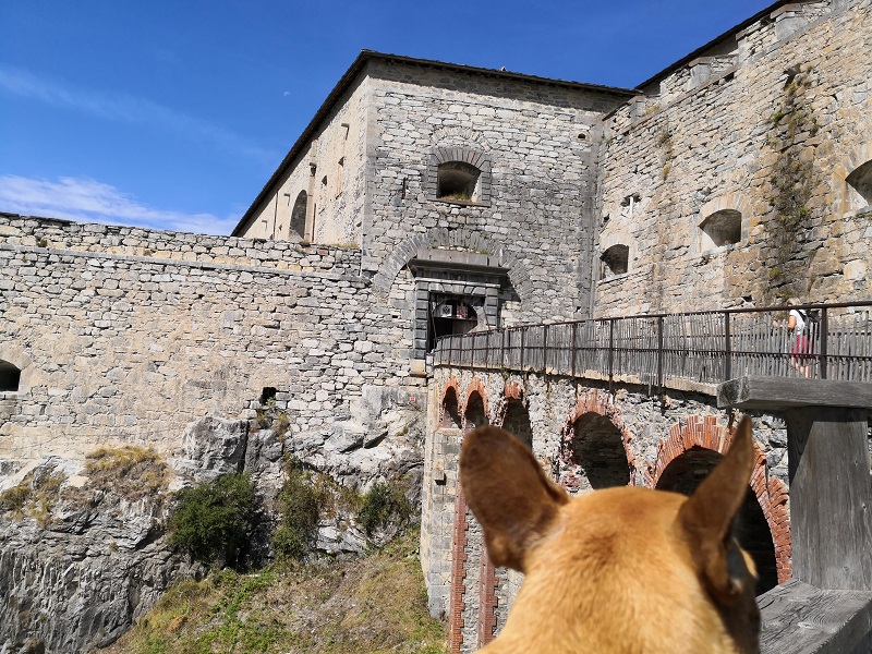 fort victor emmanuel visite avec chien