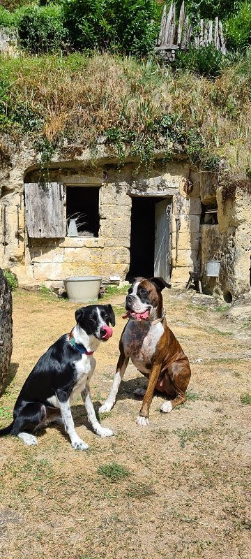 La Vallée Troglodytique des Goupillières