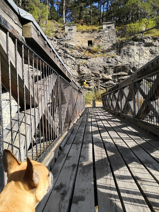 pont du diable en savoie avec chien