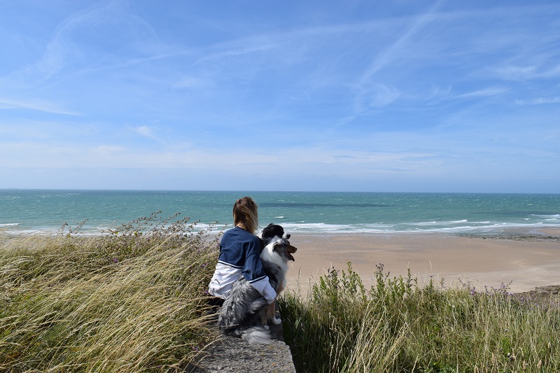 vacances sur la cote d'opale avec son chien