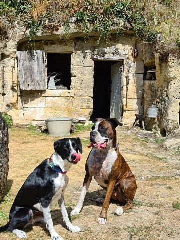 visite village troglodytique avec chien