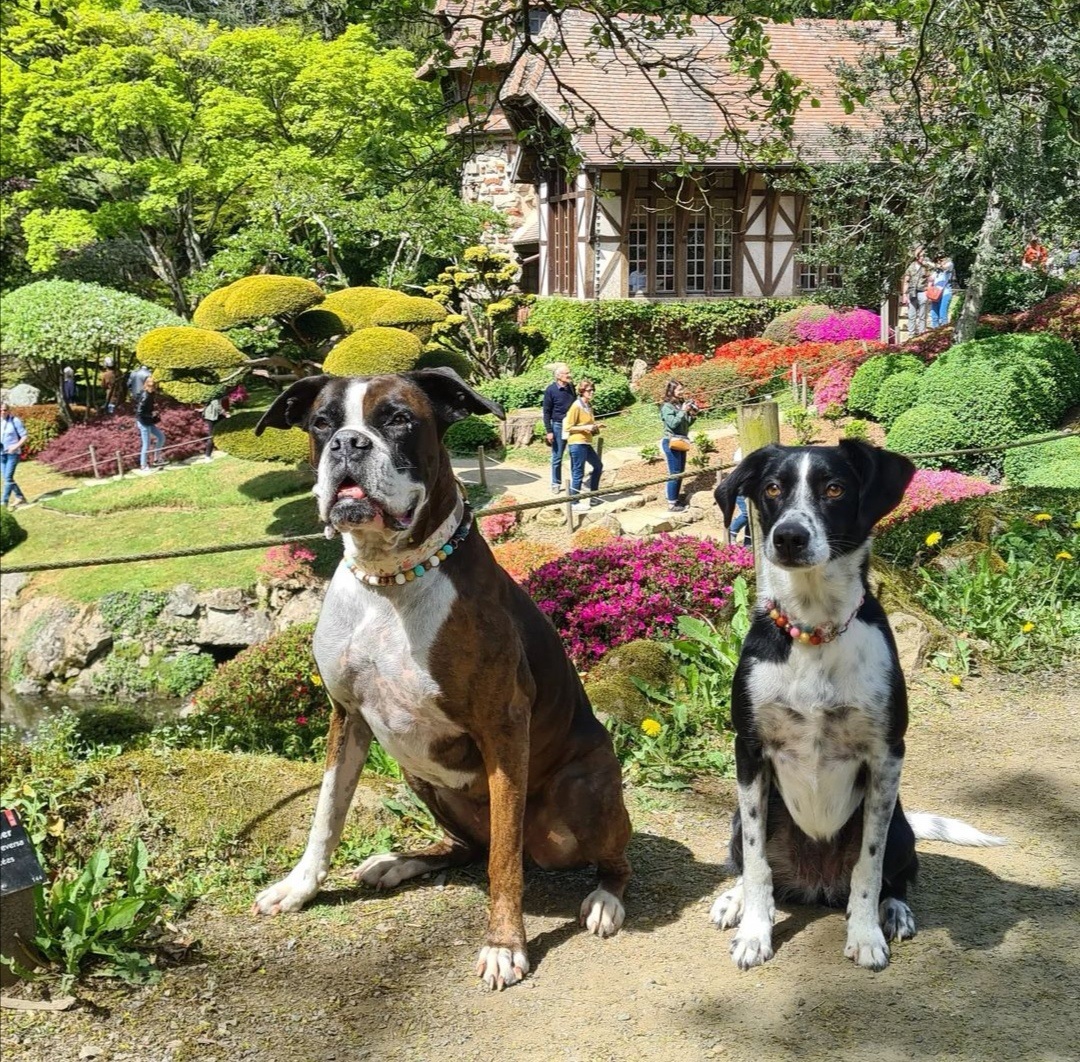 Parc Oriental de Maulévrier