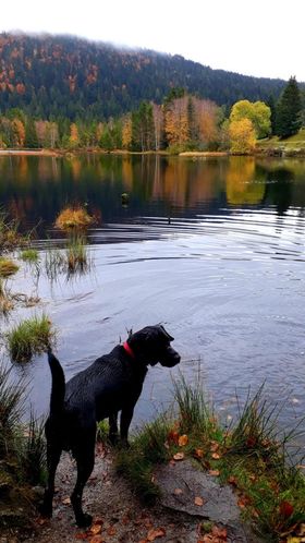 Lac de Lispach